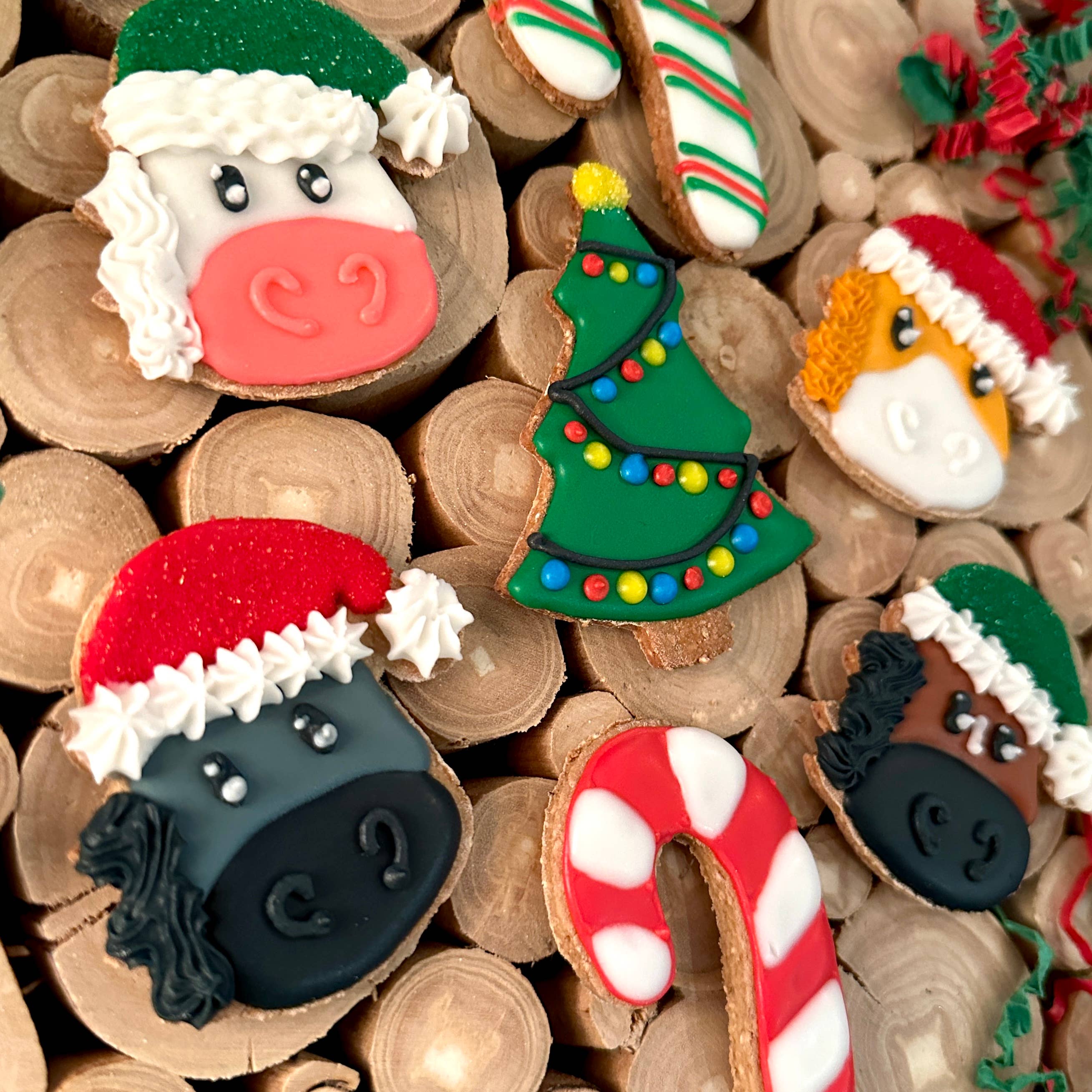 Santa Hat Ponies Holiday 7 pack